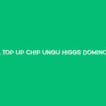 Cara Top Up Chip Ungu Higgs Domino Lewat Dana